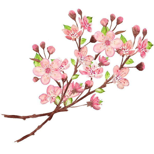 Two Cherry Blossom Branches Fabric Panel - ineedfabric.com