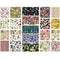 Vineyard Collection Fat Eighth Bundle - 42 Pieces - ineedfabric.com