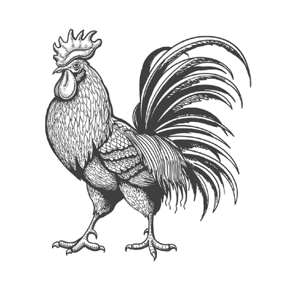 vintage rooster clipart image