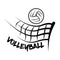 Volleyball Fabric Panel - ineedfabric.com