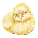 Watercolor Baby Chicken Fabric Panel - ineedfabric.com