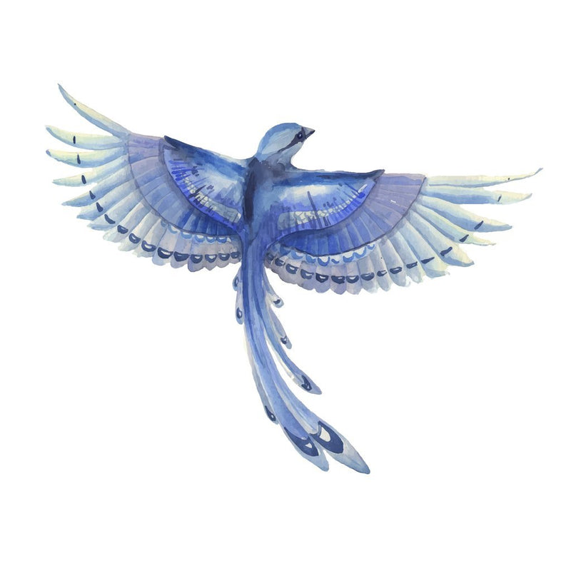 Watercolor Blue Jay Bird Fabric Panel 4.5 Inches by 4.5 Inches