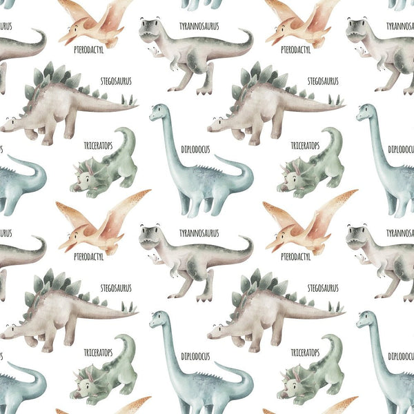 Watercolor Dinosaurs with Names Fabric - ineedfabric.com