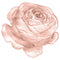 Watercolor Lavish Rose Fabric Panel - Peach - ineedfabric.com