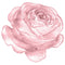 Watercolor Lavish Rose Fabric Panel - Pink - ineedfabric.com