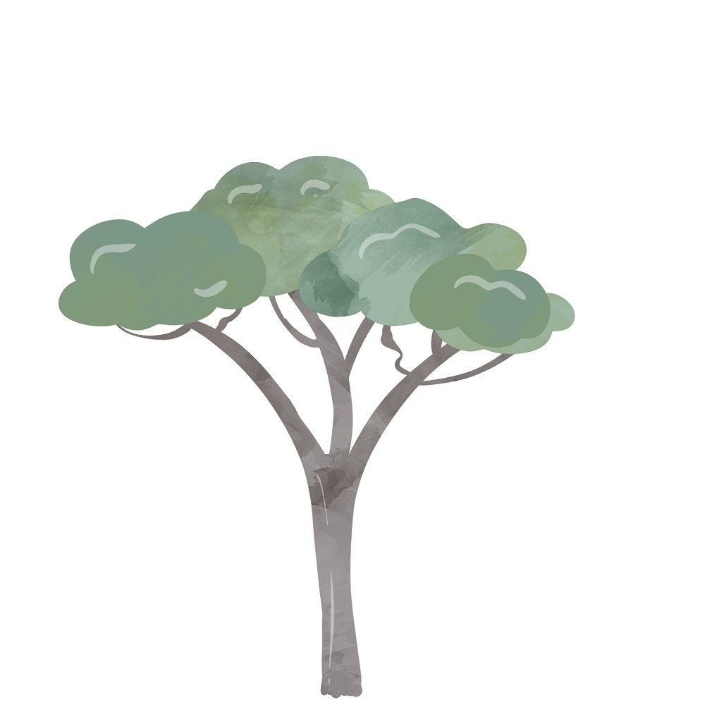 safari tree vector