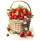 Watercolor Strawberries in Basket Fabric Panel - ineedfabric.com