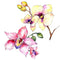 Watercolor Wildflower Orchid 2 Fabric Panel - ineedfabric.com