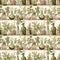 Wild Earth Apothecary Pattern 15 Fabric - ineedfabric.com