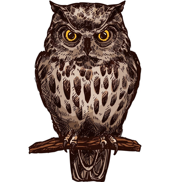 Wild Owl Fabric Panel - ineedfabric.com