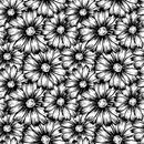 Wildflower Fabric - Black & White - ineedfabric.com
