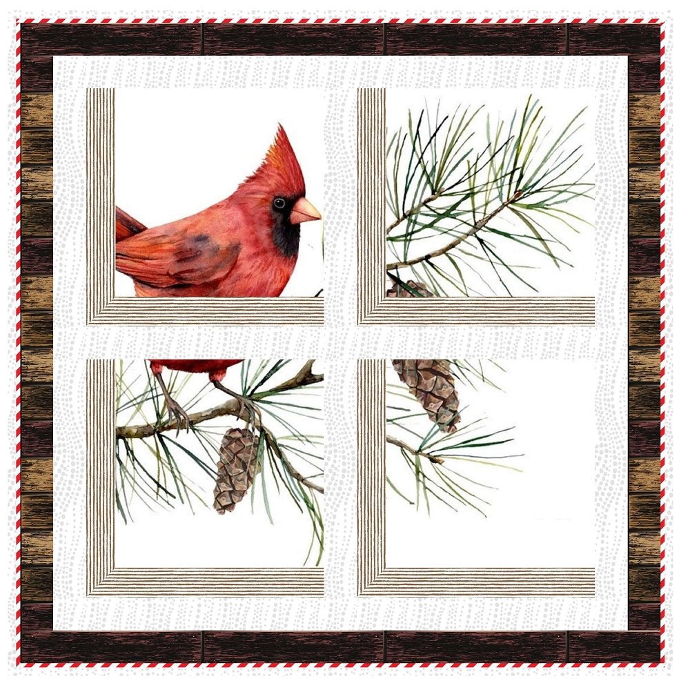 Window to the World, Red Bird Quilt Kit - 40